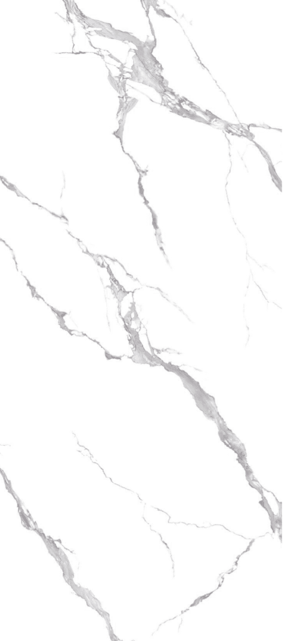PVC Wandpaneel 260x122 cm Weiß-Grau Marmor