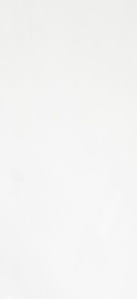 PVC Wandpaneel 120x260 cm Weiß